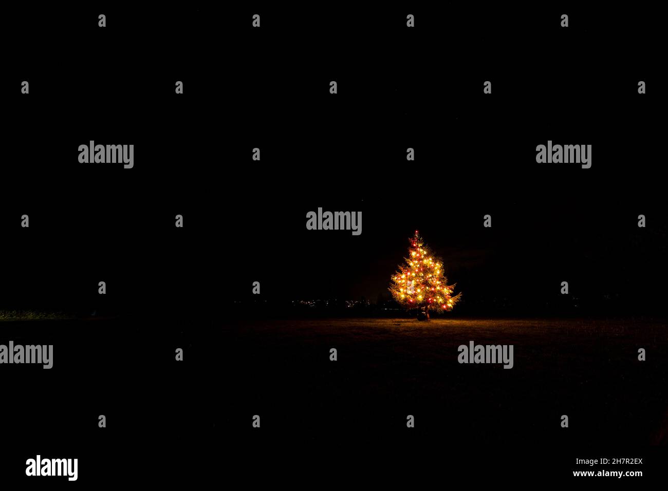 Noël.Les lumières festives de bon goût à l'entrée du centre de l'artisanat Taurus.Un site de Camphill Village. Banque D'Images