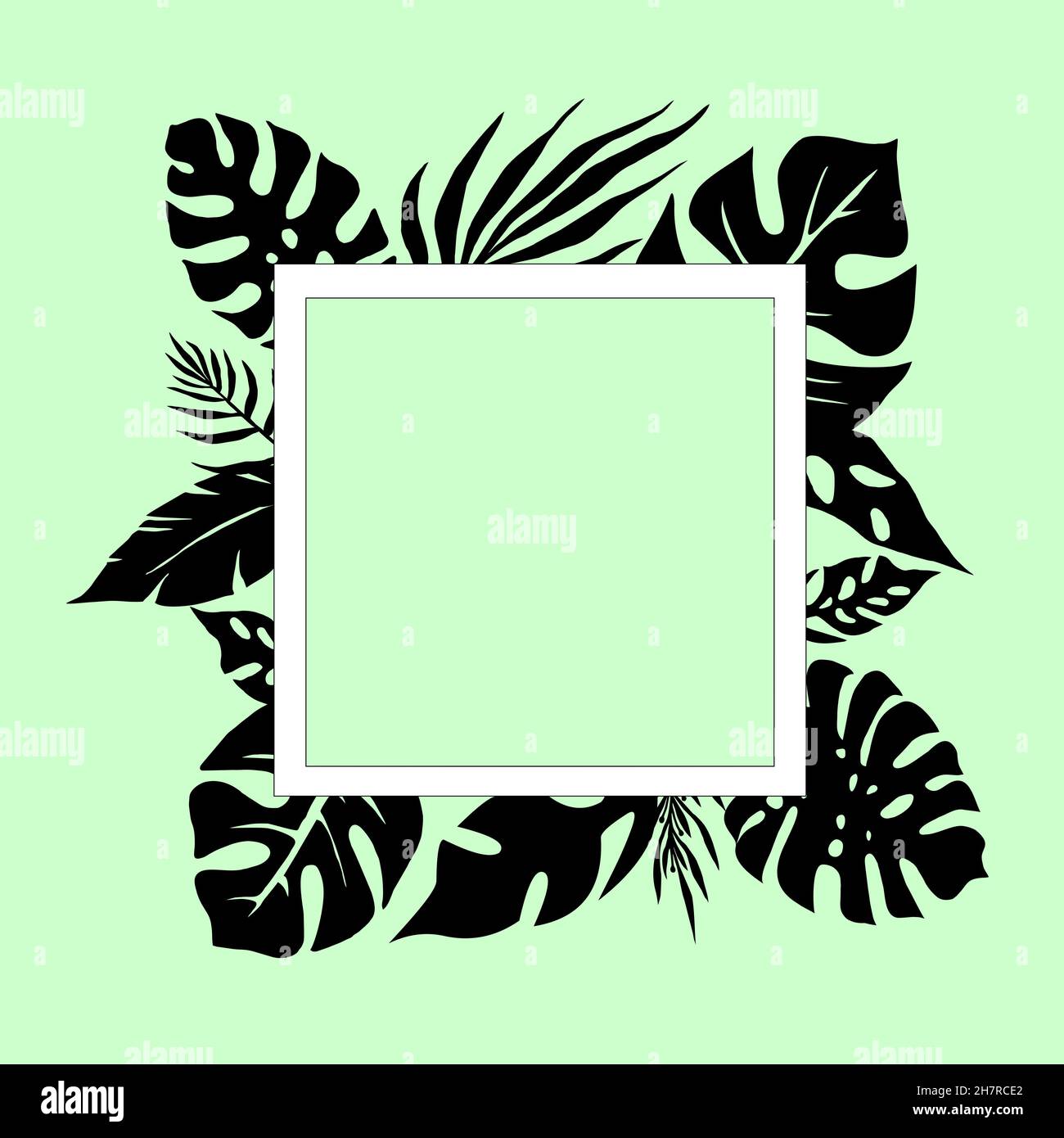 carte menthe avec motif de feuilles tropicales noires Banque D'Images