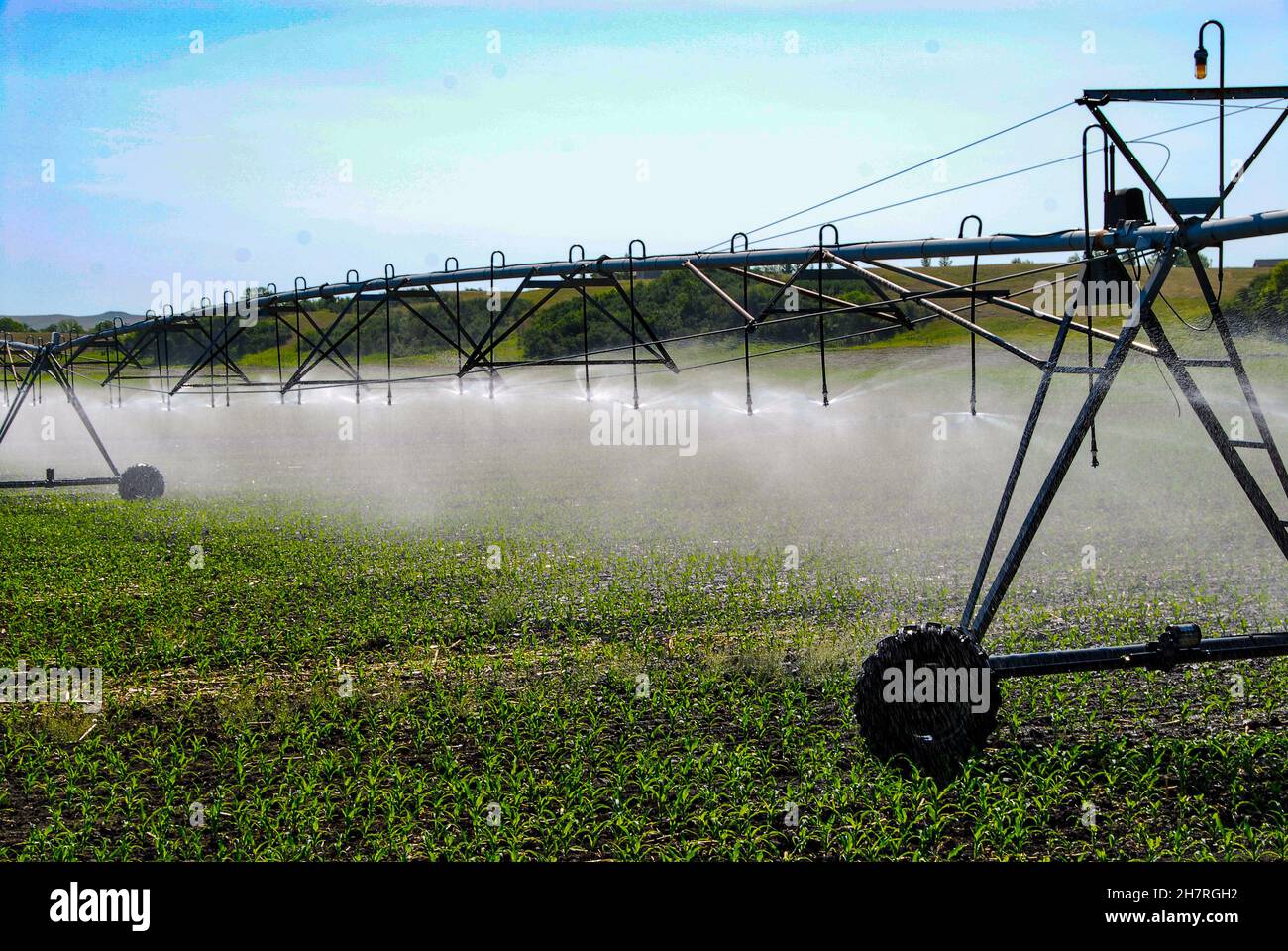 Système d'irrigation à pivot central pour l'arrosage des jeunes récoltes de maïs dans le centre du Dakota du Nord. Banque D'Images