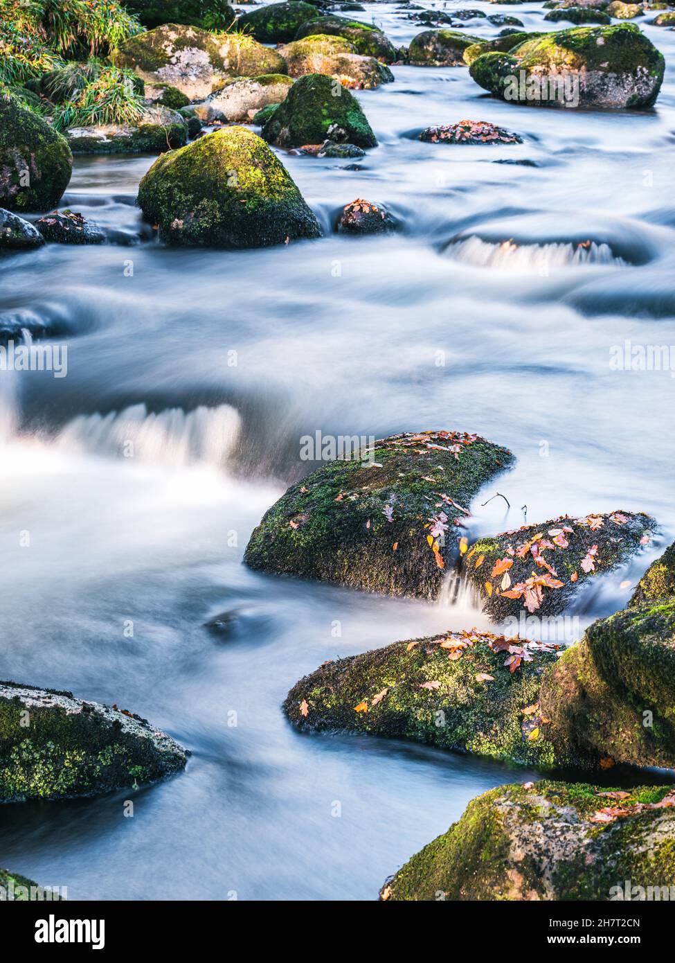 Couleurs d'automne sur la rivière Dart en exposition longue, parc Dartmoor, Devon, Angleterre, Europe Banque D'Images