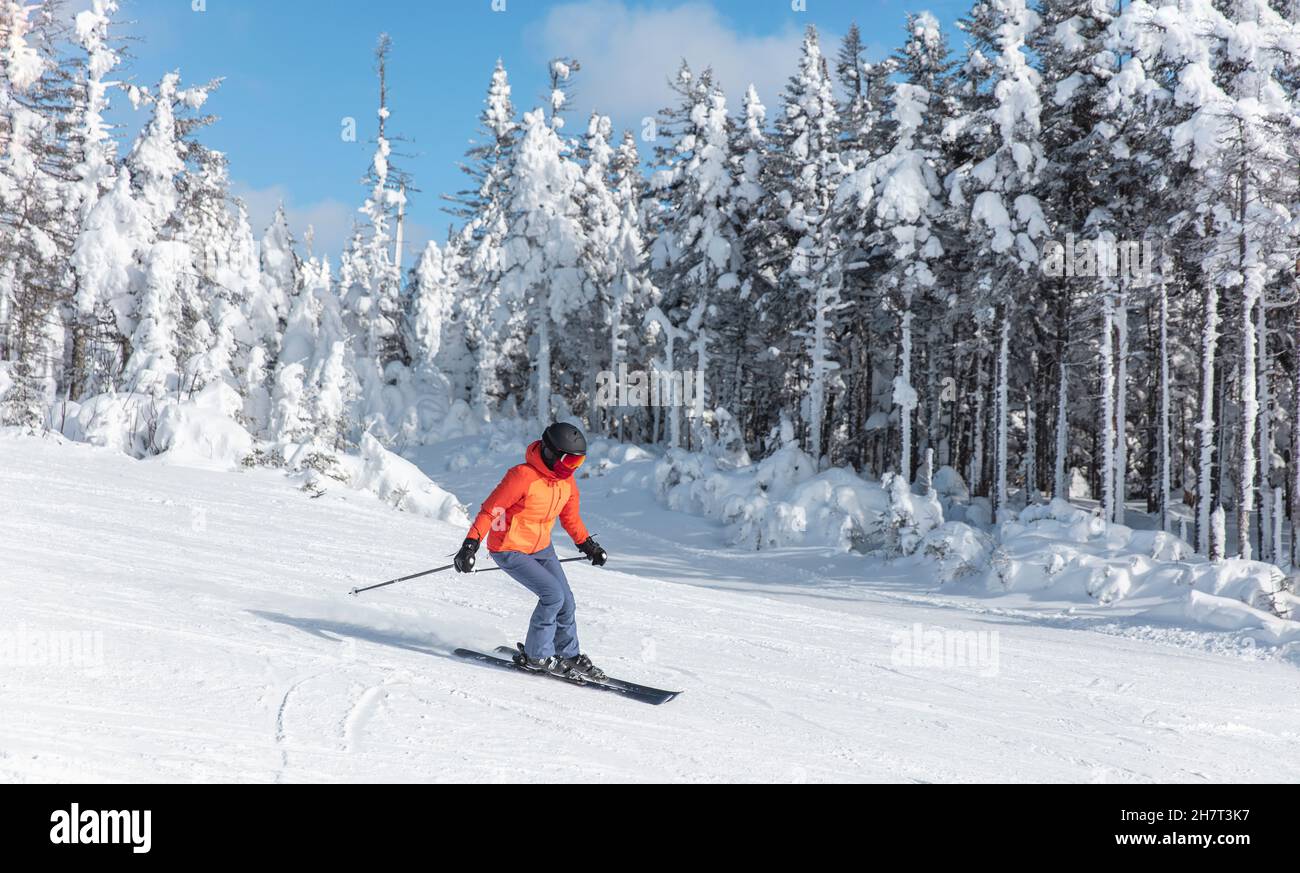 Ski alpin.Ski femme skieur descendant contre des arbres couverts de neige sur piste de ski en hiver.Bonne skieuse sportive en ski rouge Banque D'Images