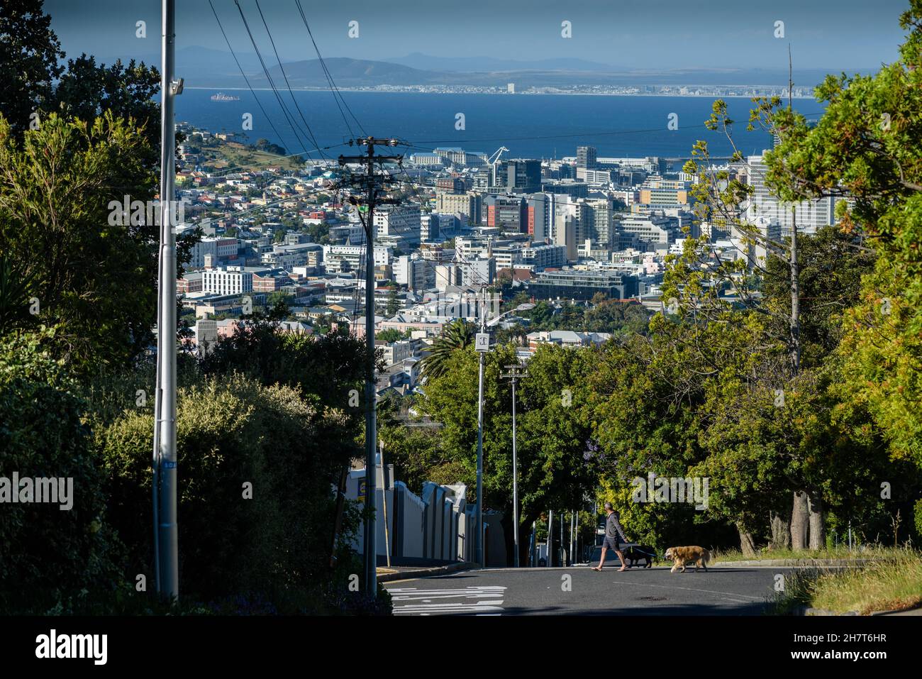La ville portuaire d'Afrique du Sud du quartier des affaires du Cap est connue sous le nom de « City Bowl » et est vue depuis la banlieue du centre-ville d'Oranjezicht Banque D'Images