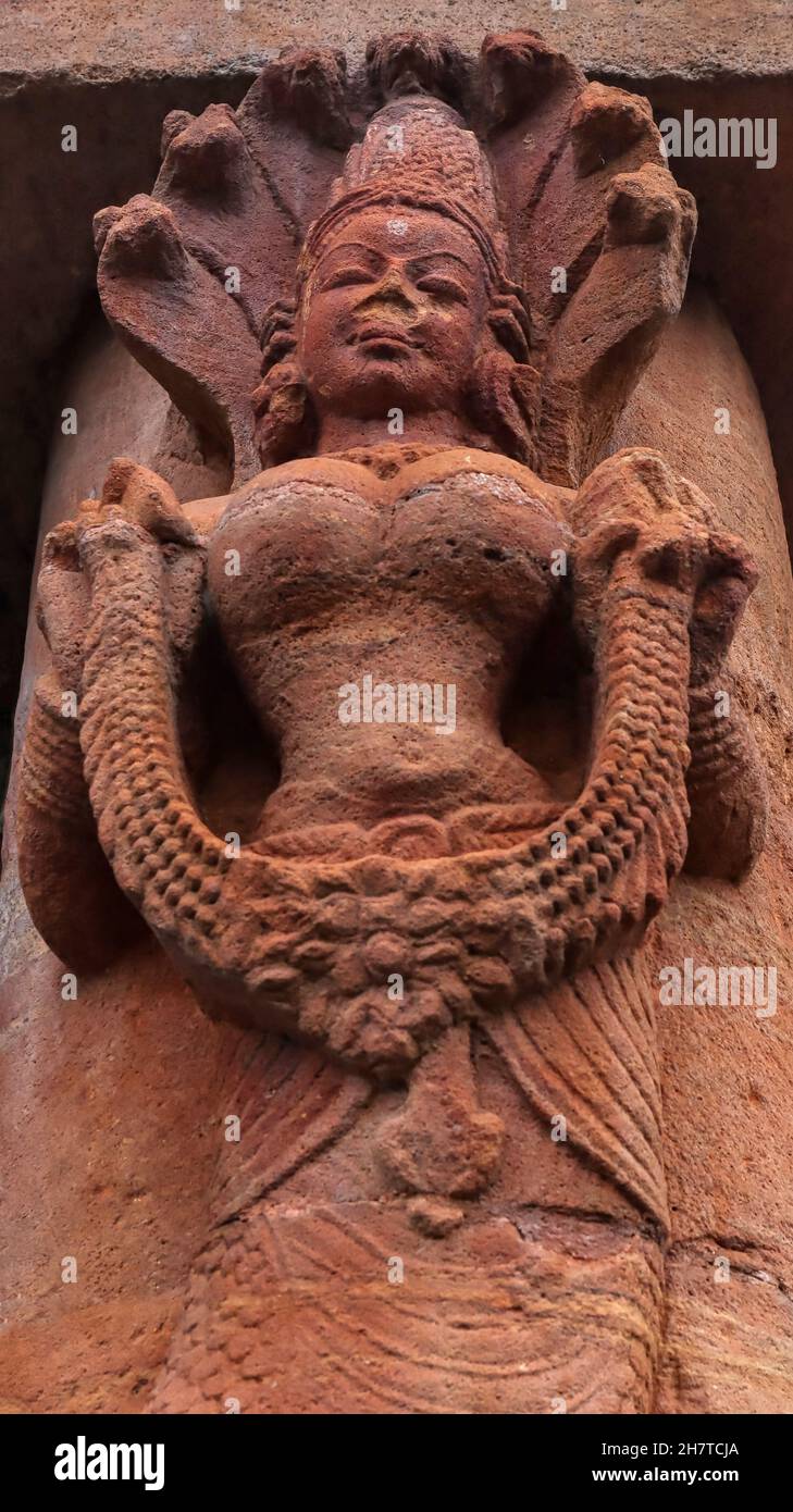 Sculpture de Naga tenant la guirlande sur la porte de Jagamohana du Temple Rajarani.Temple de style Odisha du XIe siècle construit en sa rouge et jaune terne Banque D'Images