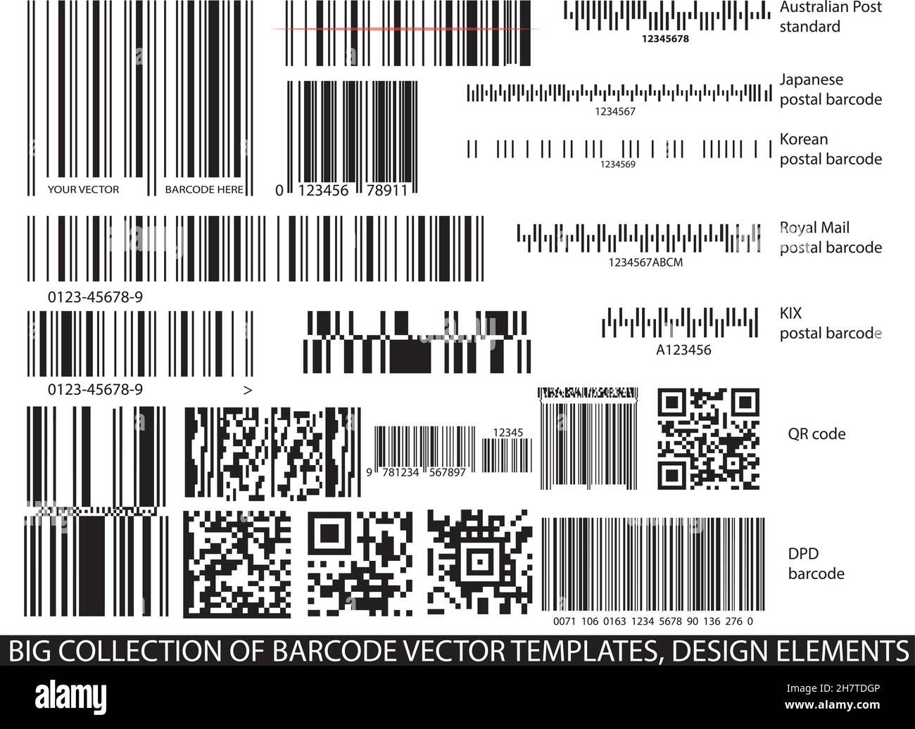 Jeu de vecteurs de modèles de codebarres.Une grande collection de codesbarres différents