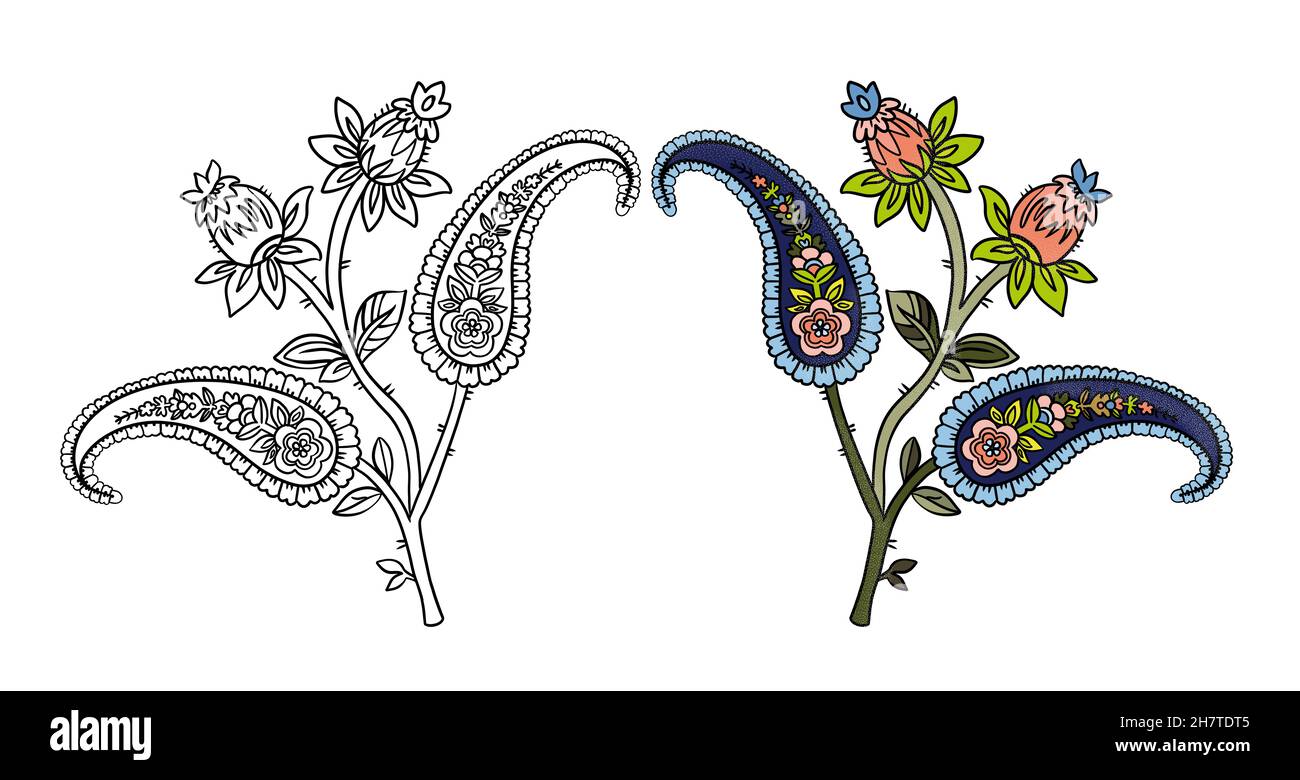 Illustration de l'élément raster Paisley en couleur et en noir et blanc pour colorer les pages sur fond blanc isolé.Illustration de haute qualité Banque D'Images