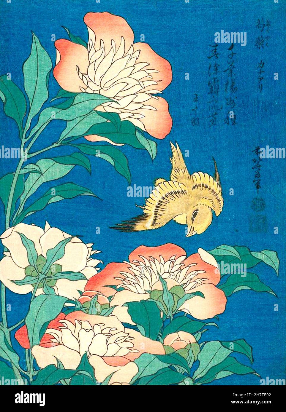 Hokusai - Peonies et canari - 1834 Banque D'Images