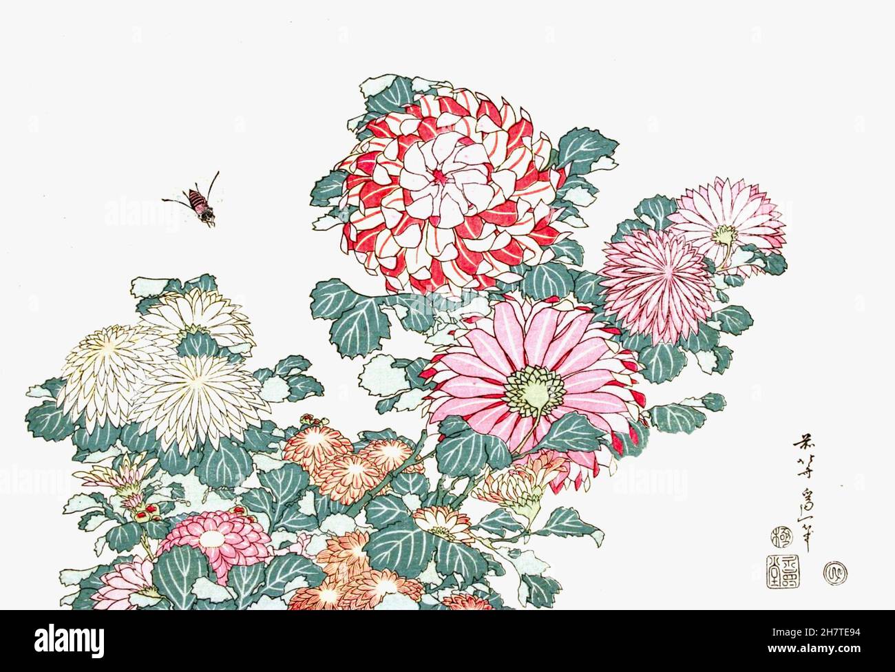 Hokusai - Chrysanthemums et abeille, d'une série sans titre de grandes fleurs - vers 1831-1833 Banque D'Images