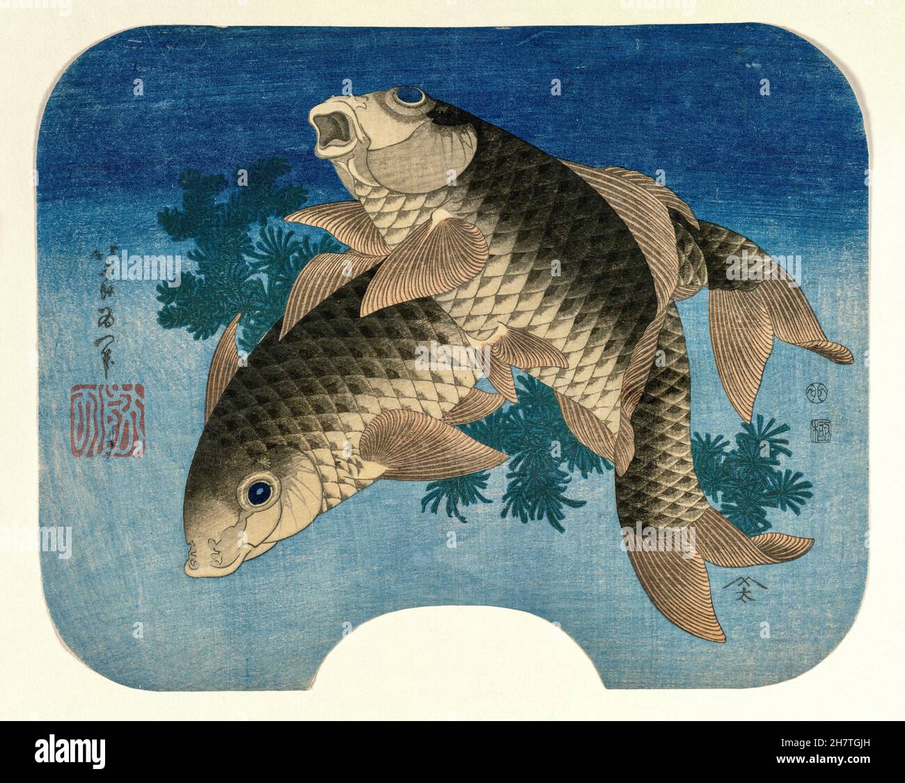Art Hokusai vintage - Carp natation par les mauvaises herbes de l'eau Banque D'Images