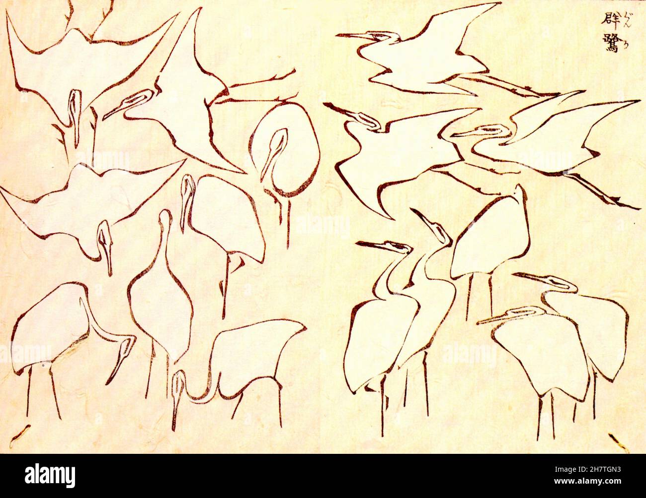 Vintage Hokusai Artwork - Egrets from Quick Lesson Simplified Drawing Banque D'Images
