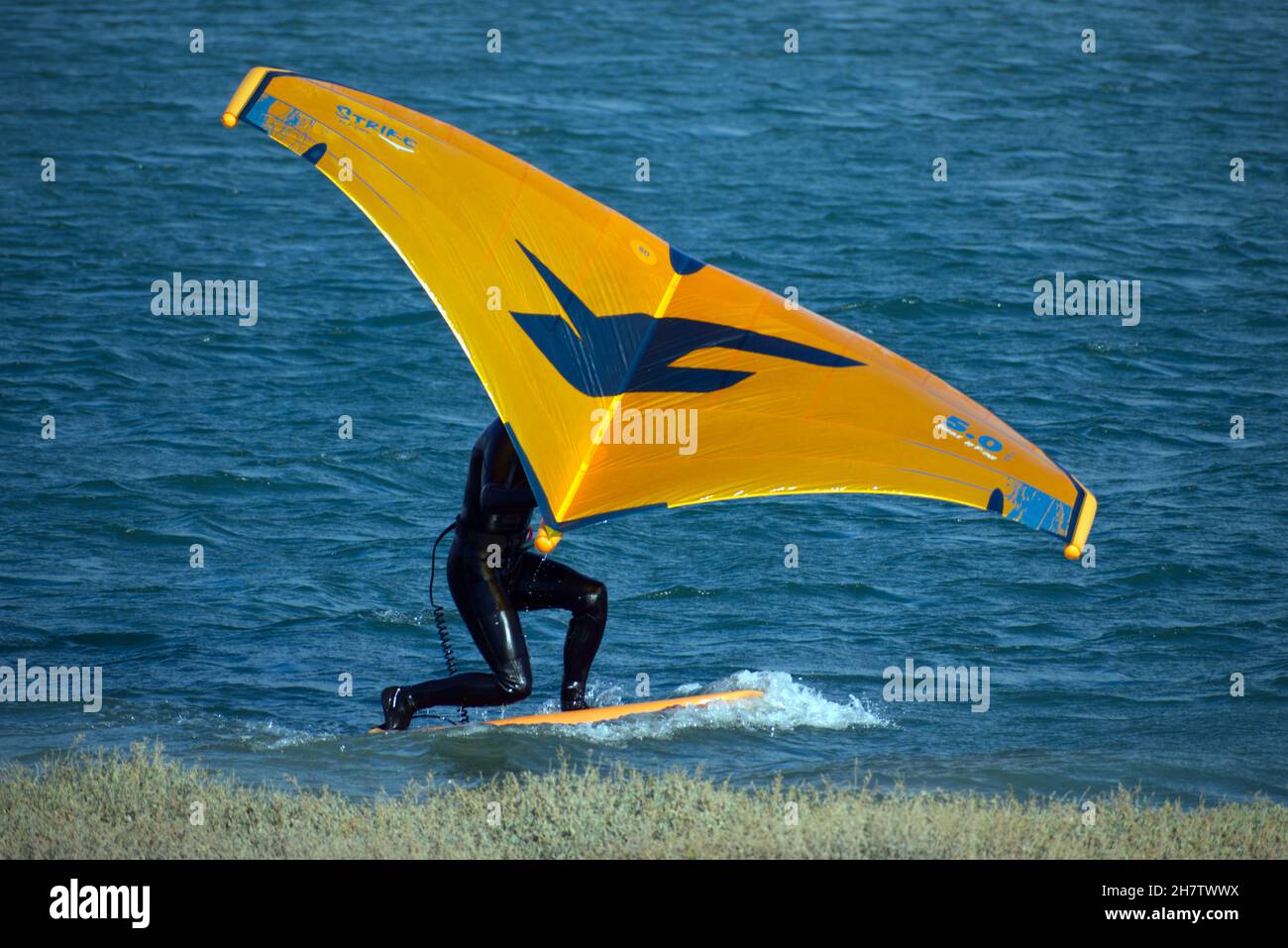 Personne pratiquant le vent descendant sur une planche de planche à voile sur la rivière Adur à Shoreham à marée haute. Banque D'Images