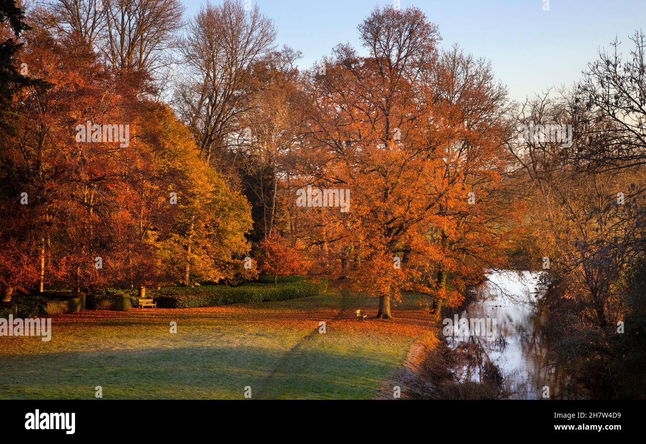 Promenade dans les bois d'automne dans les jardins paysagers de Rousham House, Oxfordshire, Angleterre Banque D'Images
