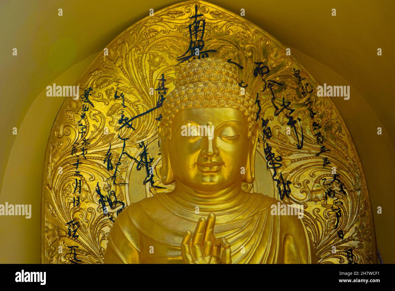 Gautama Bouddha, communément appelé Bouddha ou Bouddha du Seigneur Banque D'Images