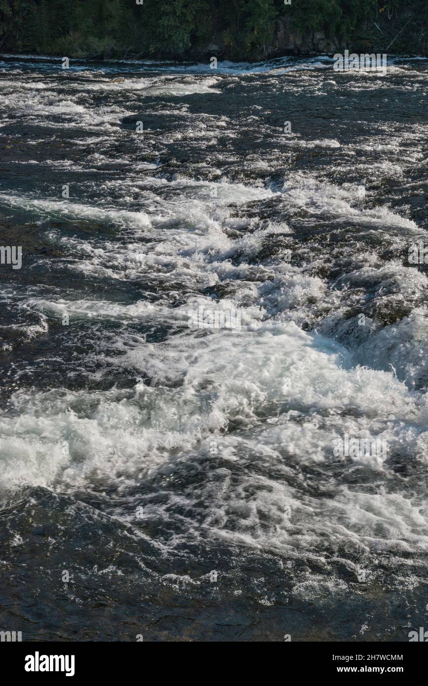 LeHardy rapides sur la rivière Yellowstone, parc national de Yellowstone, Wyoming, États-Unis Banque D'Images