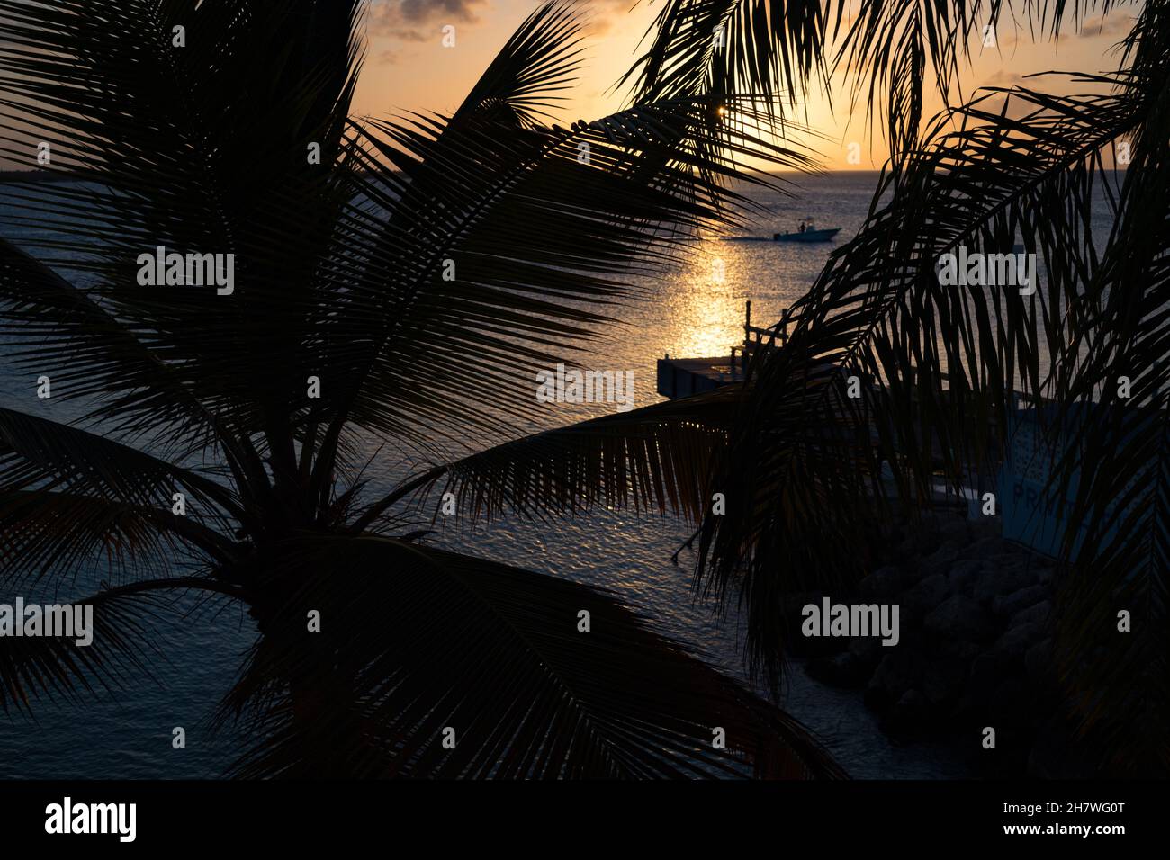 Palmiers et le soleil couchant sur l'île de Bonaire - Antilles néerlandaises Banque D'Images