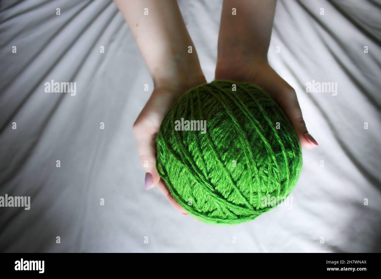 Boule de laine verte Banque D'Images