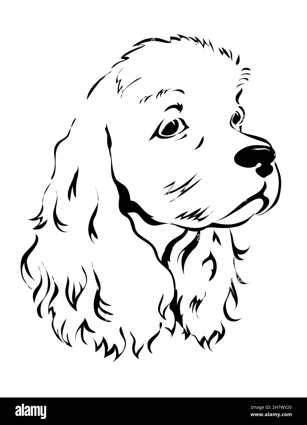 Épagneul cocker américain.Portrait de la tête de chien.L'animal est un animal de compagnie.Esquisse vectorielle noir et blanc.Illustration isolée dessinée à la main Illustration de Vecteur