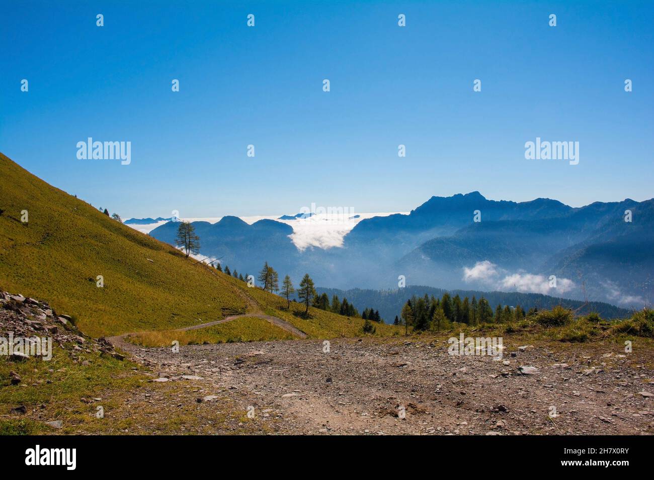 Les pentes de Monte Morgenleit près de Sauris di Sopra, Friuli-Venezia Giulia, Italie.Près de Sella Festons, vallée de Sauris en arrière-plan.Fin septembre Banque D'Images