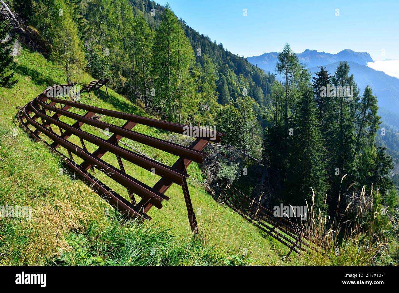 Barrières d'avalanches métalliques sur les pentes inférieures Monte Morgenleit près de Sauris di Sopra, province d'Udine, Friuli-Venezia Giulia, nord-est de l'Italie.Fin septembre Banque D'Images