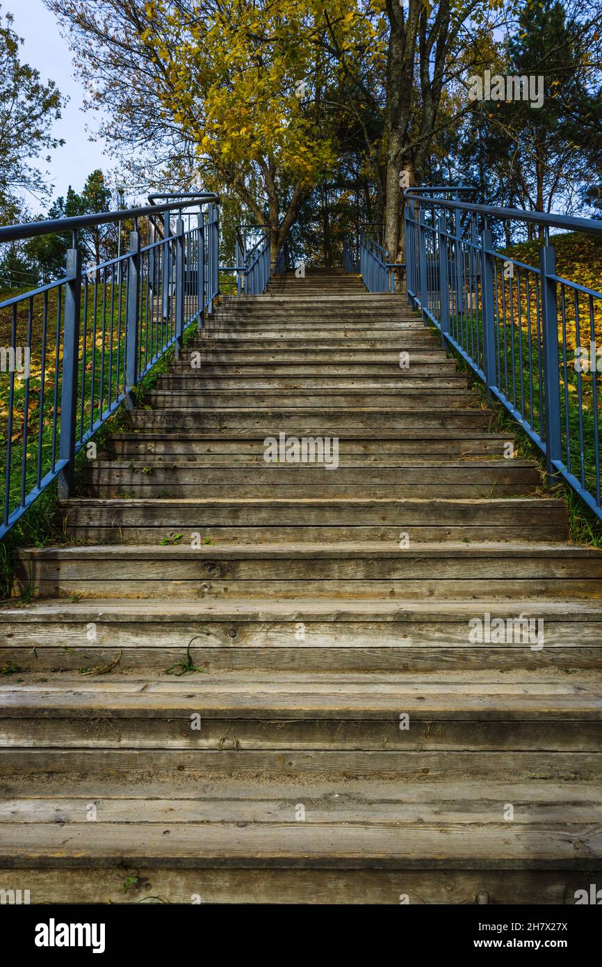 escalier en bois avec garde-corps en acier inoxydable dans le parc Banque D'Images