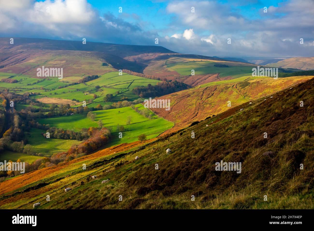 Vue en direction d'Edale depuis les pentes de Win Hill dans le parc national de Peak District Derbyshire Angleterre Royaume-Uni Banque D'Images