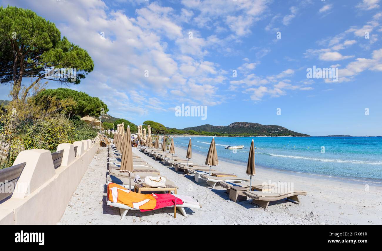 Paysage avec plage de Palombaggia sur l'île de Corse, France Banque D'Images
