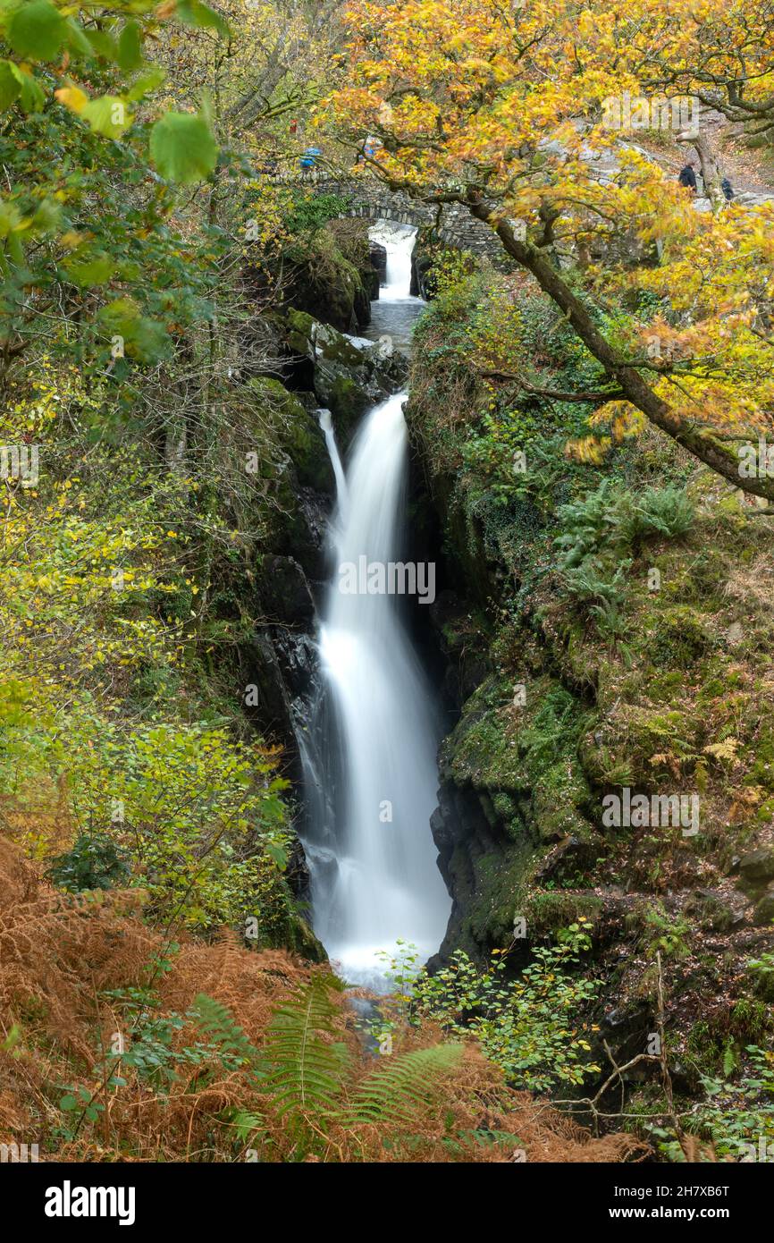 Vue d'automne de la chute d'eau de la Force aérienne dans le parc national de Lake District, Cumbria, Angleterre, Royaume-Uni, en novembre Banque D'Images