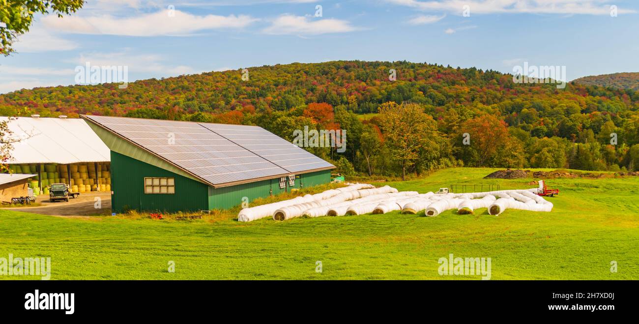 panneaux solaires sur le toit de la ferme pour alimenter les bâtiments de la ferme Banque D'Images