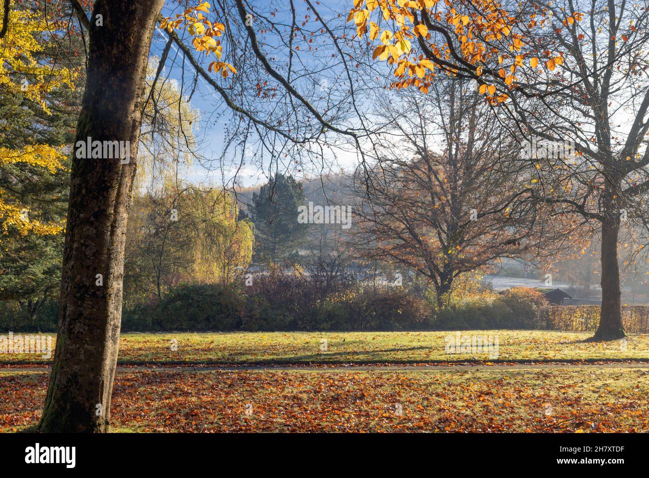 Couleurs d'automne dans le parc public avec belle lumière du soleil près de Brilon allemand Banque D'Images