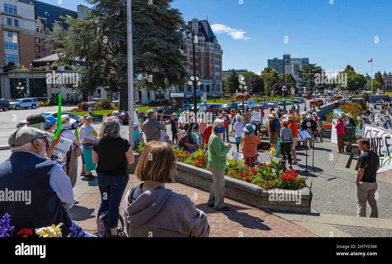 Des manifestants dans les rues de Victoria en Colombie-Britannique.Inner Harbour à Victoria a rempli de gens qui sont allés pour une manifestation pacifique Banque D'Images