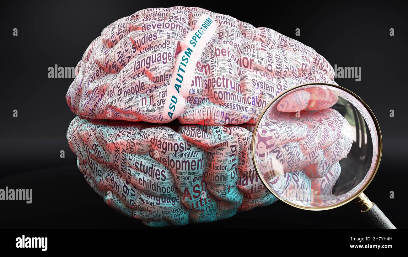 Spectre de l'autisme des TSA dans le cerveau humain, des centaines de termes liés au spectre de l'autisme des TSA projetés sur un cortex pour montrer une large étendue de cette condition, 3 Banque D'Images
