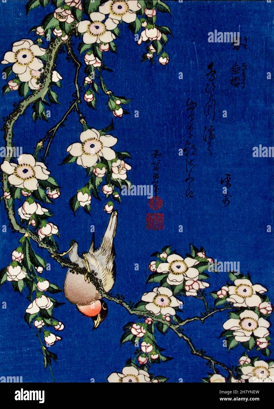 Hokusai - Bullfinch et Weeping Cherry Banque D'Images