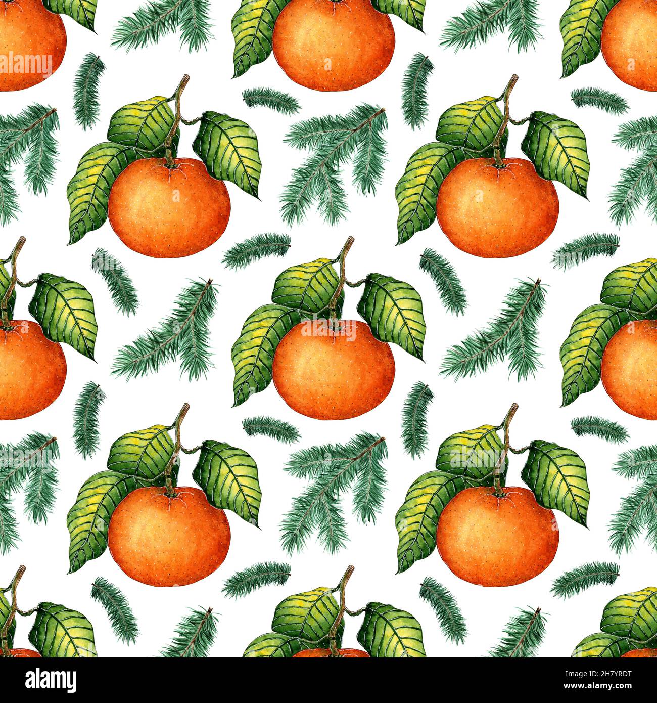 Motif aquarelle de mandarine mûre avec feuilles vertes et branches d'épinette.Imprimé agrumes juteux répété sans couture.Fruits de saison en hiver.VI Banque D'Images