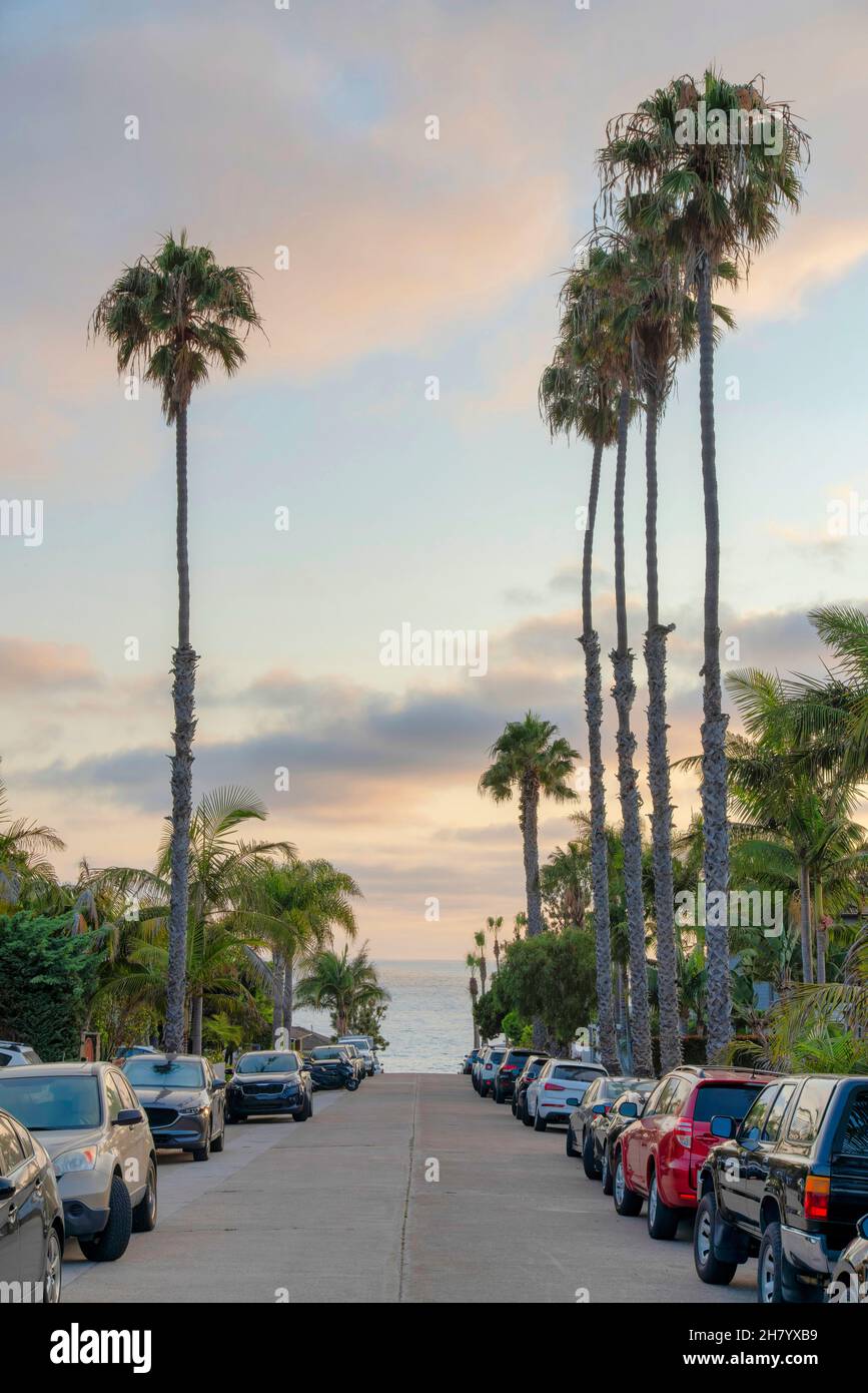 Véhicules garés sur la route en béton à la Jolla, en Californie Banque D'Images