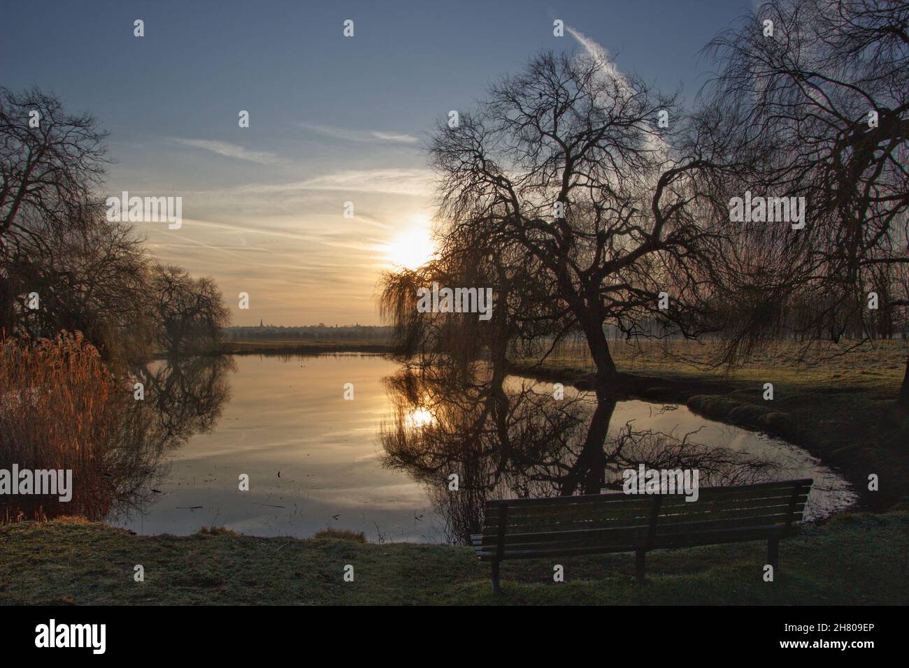 Home Park, Hampton court Banque D'Images