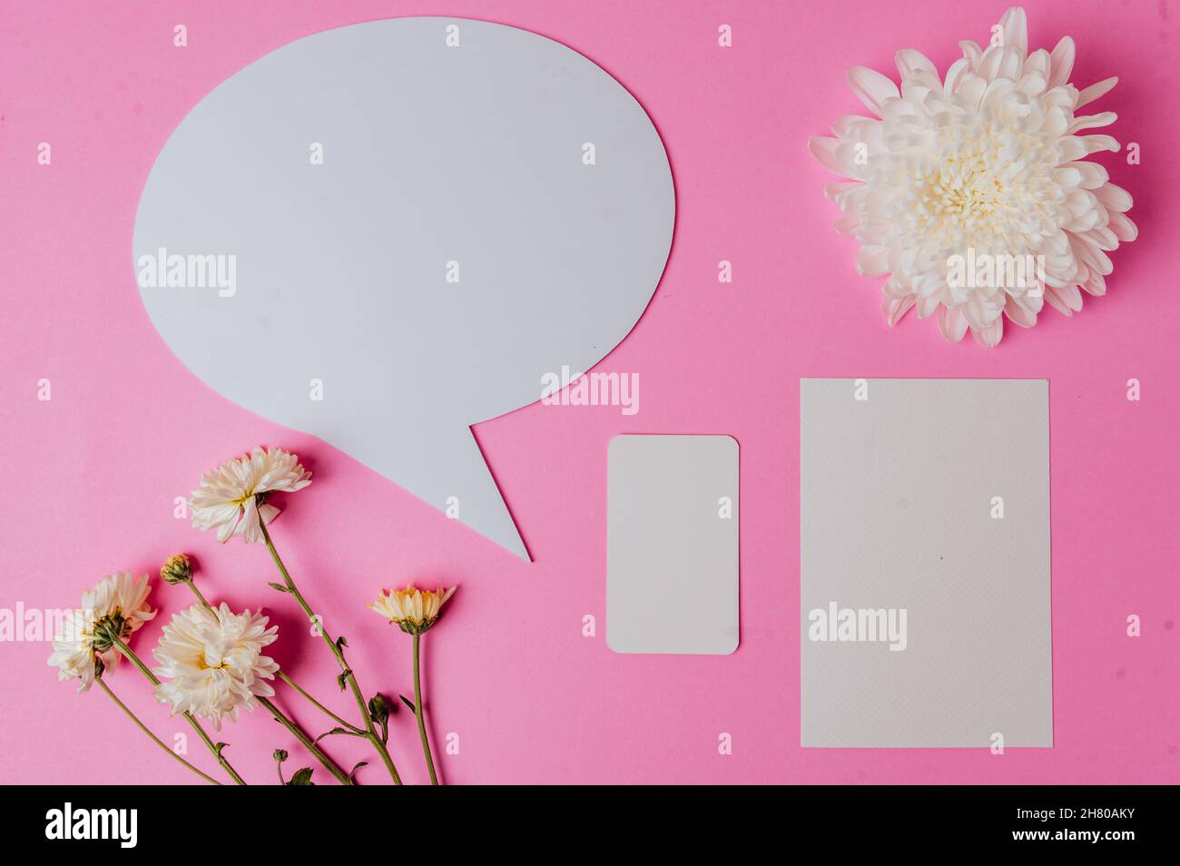 bulle de parole vierge ovale, fleur et 2 cartes vierges sur fond rose Banque D'Images