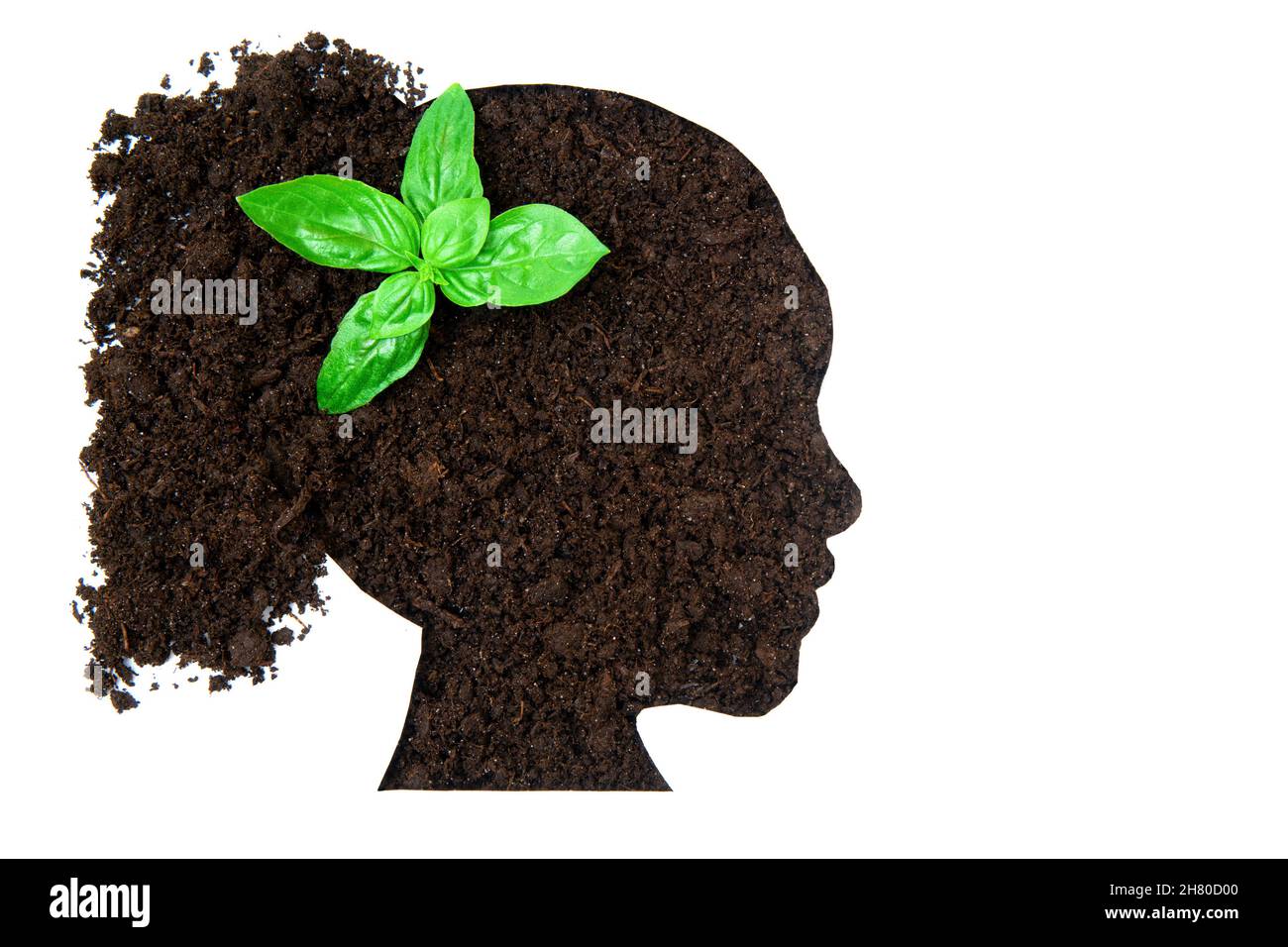 Profil de la tête de la femme fait de terre avec une plante de bébé isolée sur blanc.Les femmes dans l'agriculture. Banque D'Images