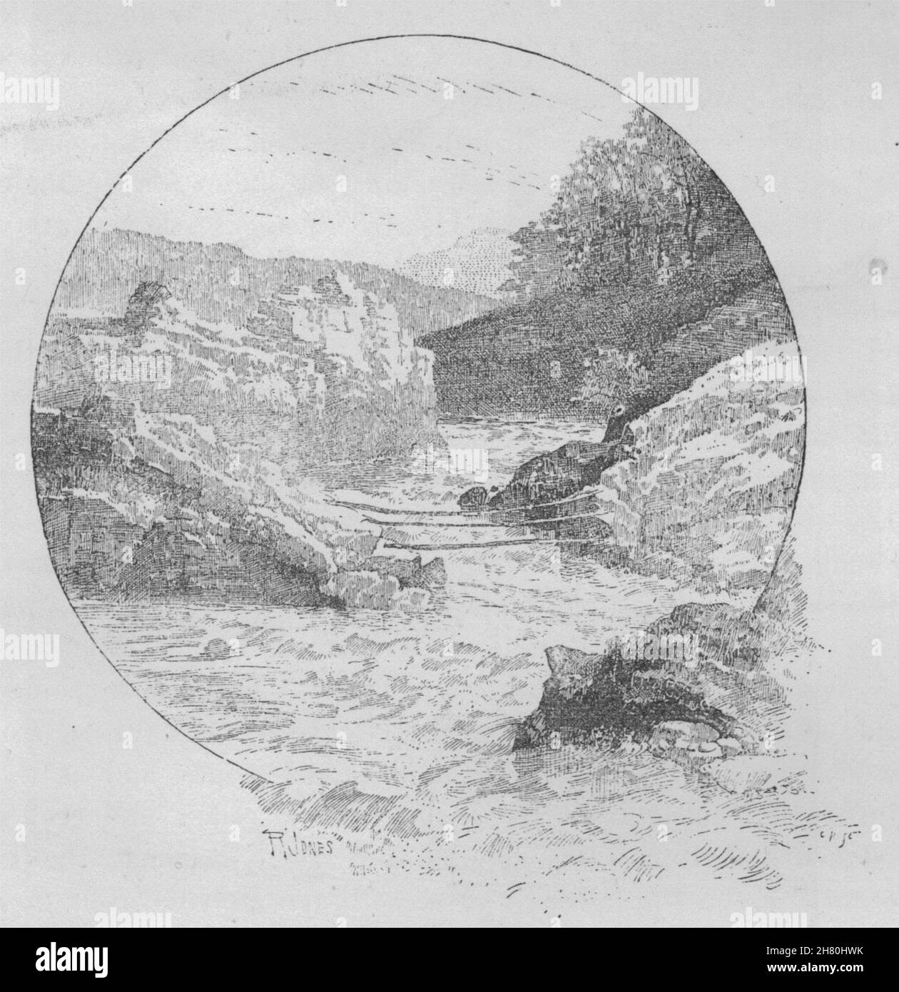 La rivière Barron, au-dessus des chutes. La Grande Barrière de Corail. L'Australie 1890 Banque D'Images