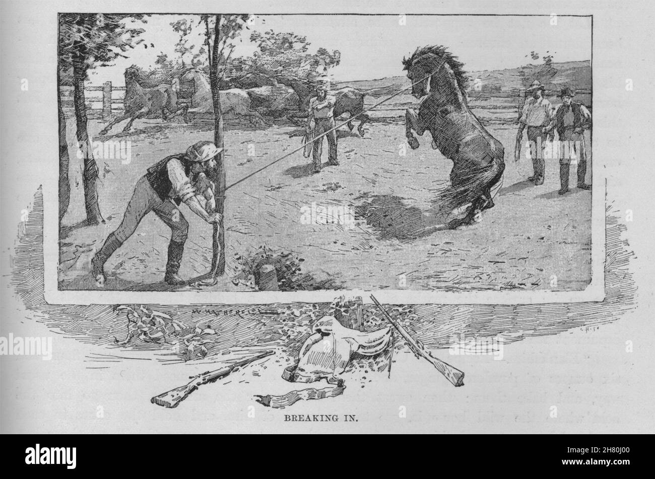 En rupture. Le Brumby. L'Australie 1890 ancienne vintage print photo Banque D'Images
