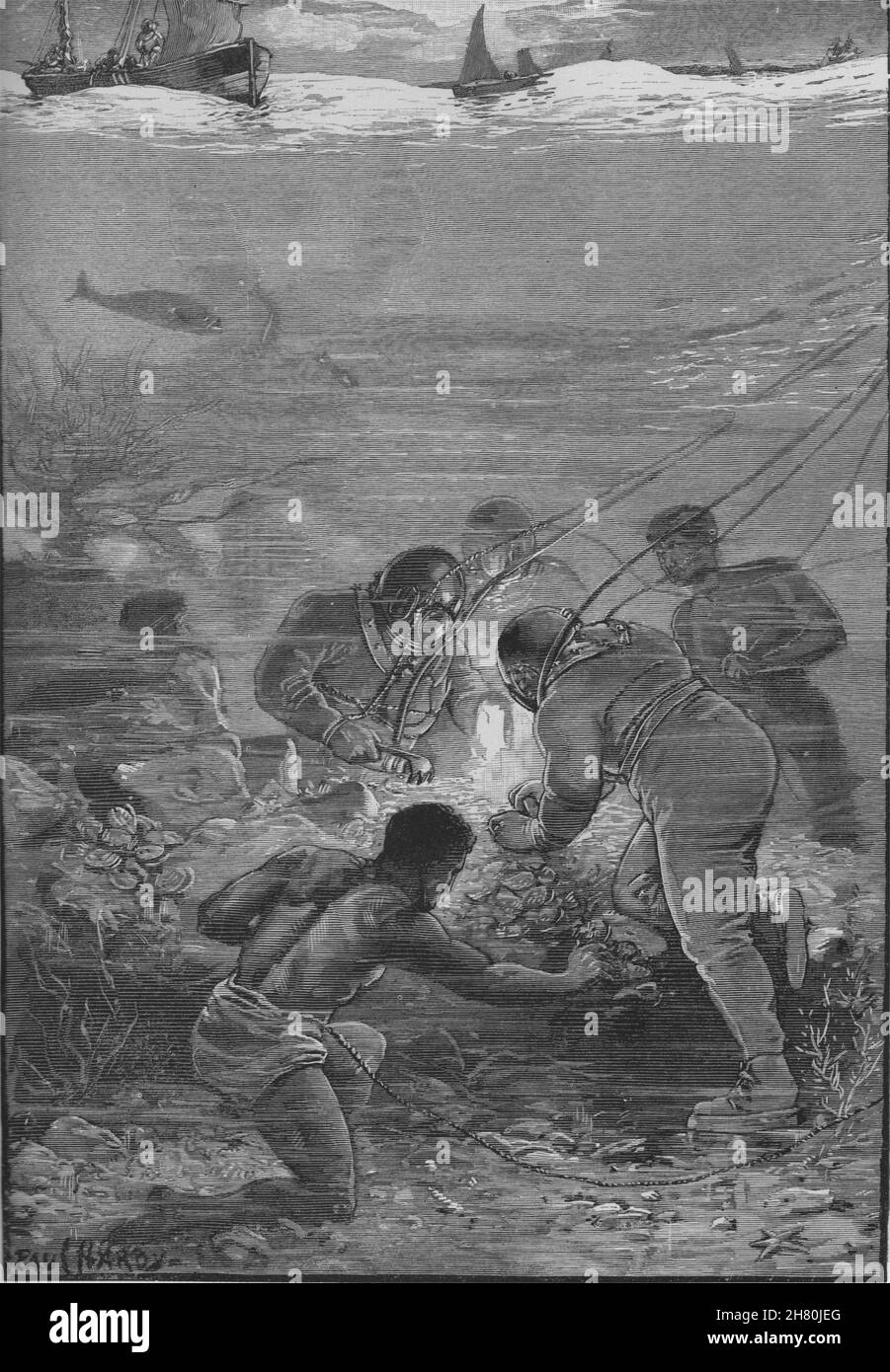 Les plongeurs de perles au travail. Grande Barrière de Corail. L'Australie 1890 vieux ancien Banque D'Images