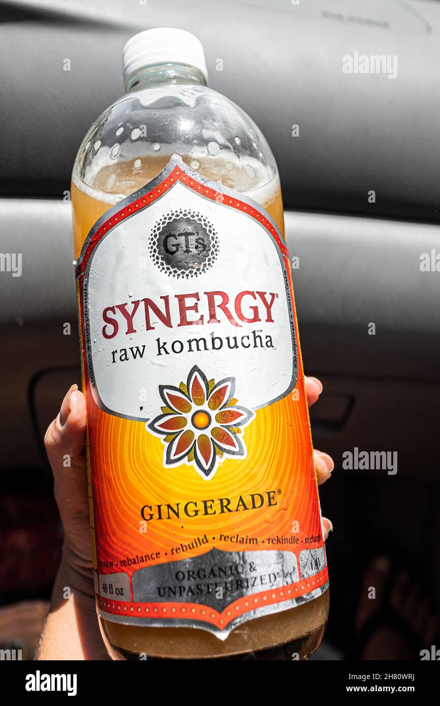 Miami, États-Unis - 29 juillet 2021 : gros plan de la main tenant une boisson de thé probiotique fermentée de culture étiquette pour le Kombucha brut Synergy de GT avec saveur de gingembre Banque D'Images