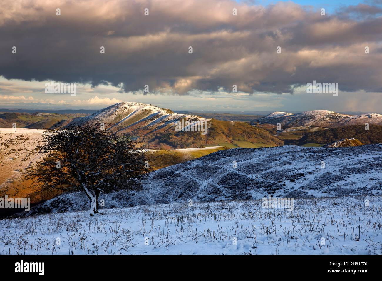 Long Mynd Shropshire Royaume-Uni Banque D'Images