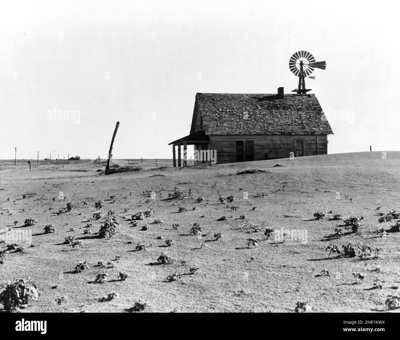 Dorothea Lange photographie - ferme Dust Bowl.District de Coldwater, au  nord de Dalhart, Texas Photo Stock - Alamy