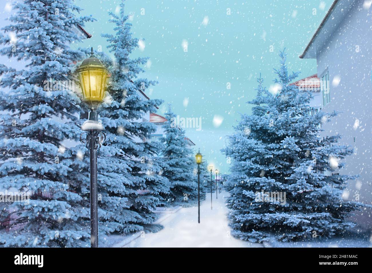 Sapins enneigés, maisons, allée et lanternes.Neige.Poussière.Carte hiver, Noël, nouvel an.Copier l'espace Banque D'Images