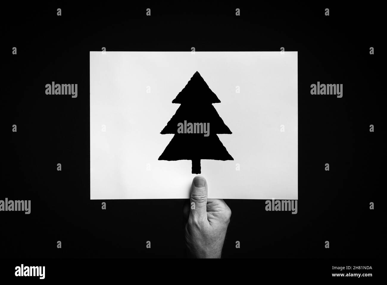 Image B+W de la main mâle tenant une feuille de papier avec le symbole arbre de noël sur fond noir. Banque D'Images