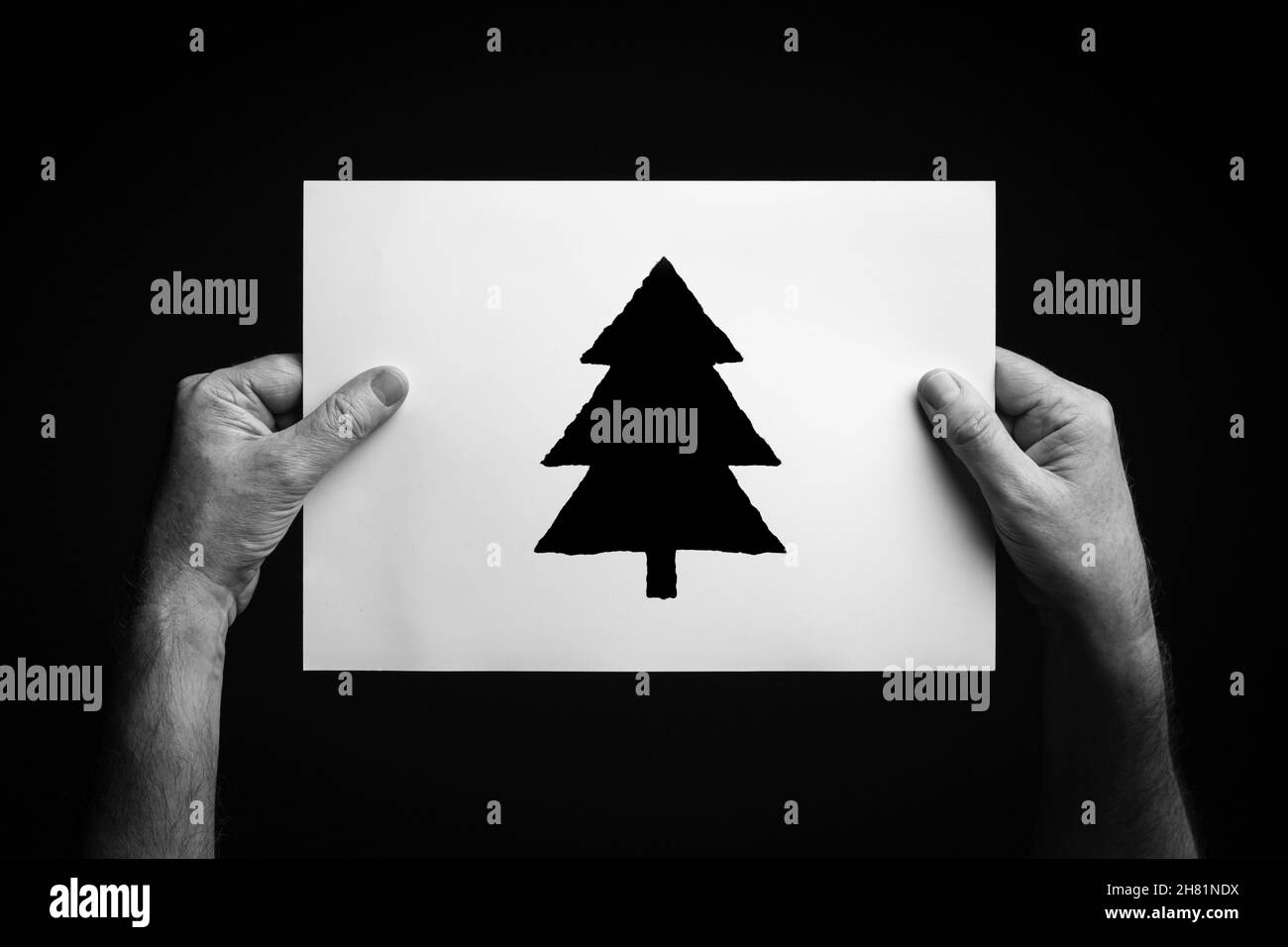 Image B+W des mains de sexe masculin tenant une feuille de papier avec le symbole arbre de noël sur fond noir. Banque D'Images