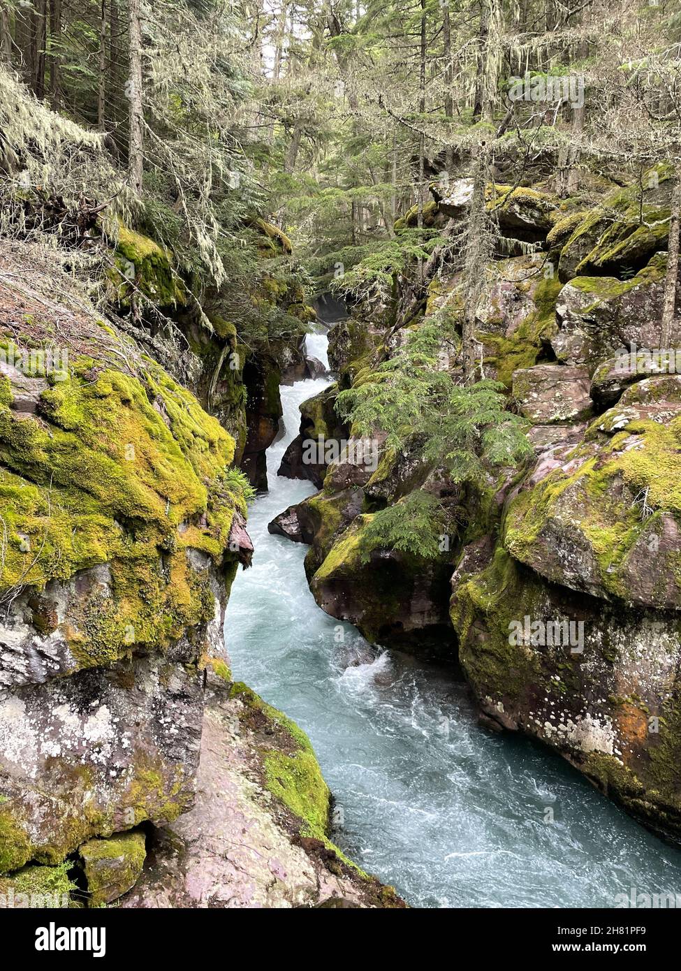 Textiles - en ligne du Parc national de la Vanoise
