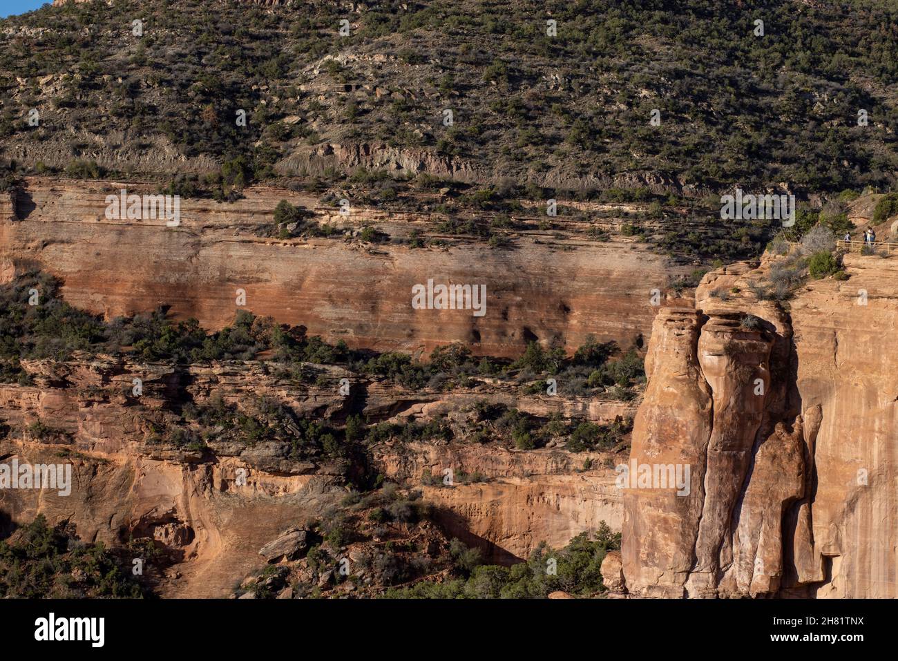 Monument national du Colorado près de Grand Junction Colorado. Une région de terre désertique sur le plateau du Colorado. Banque D'Images