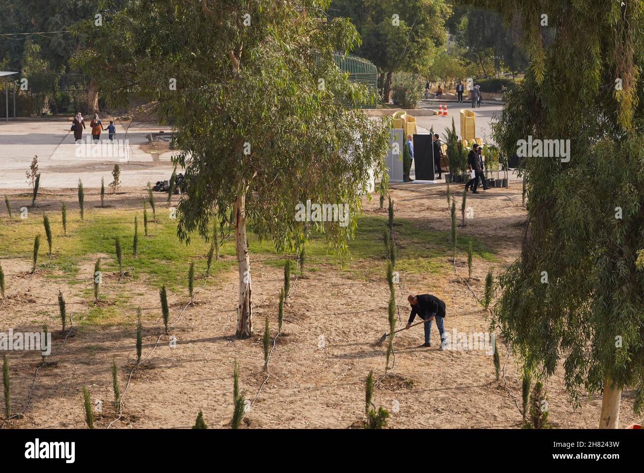 Vue générale des arbres plantés sur le campus de l'Université technique du Nord.des volontaires iraquiens de la Fondation Mosul Eye ont commencé à planter des milliers d'arbres dans la ville ravagée par la guerre de Mosul, dans le but d'écologiser Mosul et de lutter contre la désertification, ils ont planté les 300 premiers arbres d'acacia,le cyprès et le citron dans le sol dans un projet vise à planter 5,000 arbres dans toute la ville de Mossoul, dans le nord du pays, qui souffre encore de la destruction et de la dévastation causées par la guerre contre l'EI.(Photo d'Ismael Adnan/SOPA Images/Sipa USA) Banque D'Images