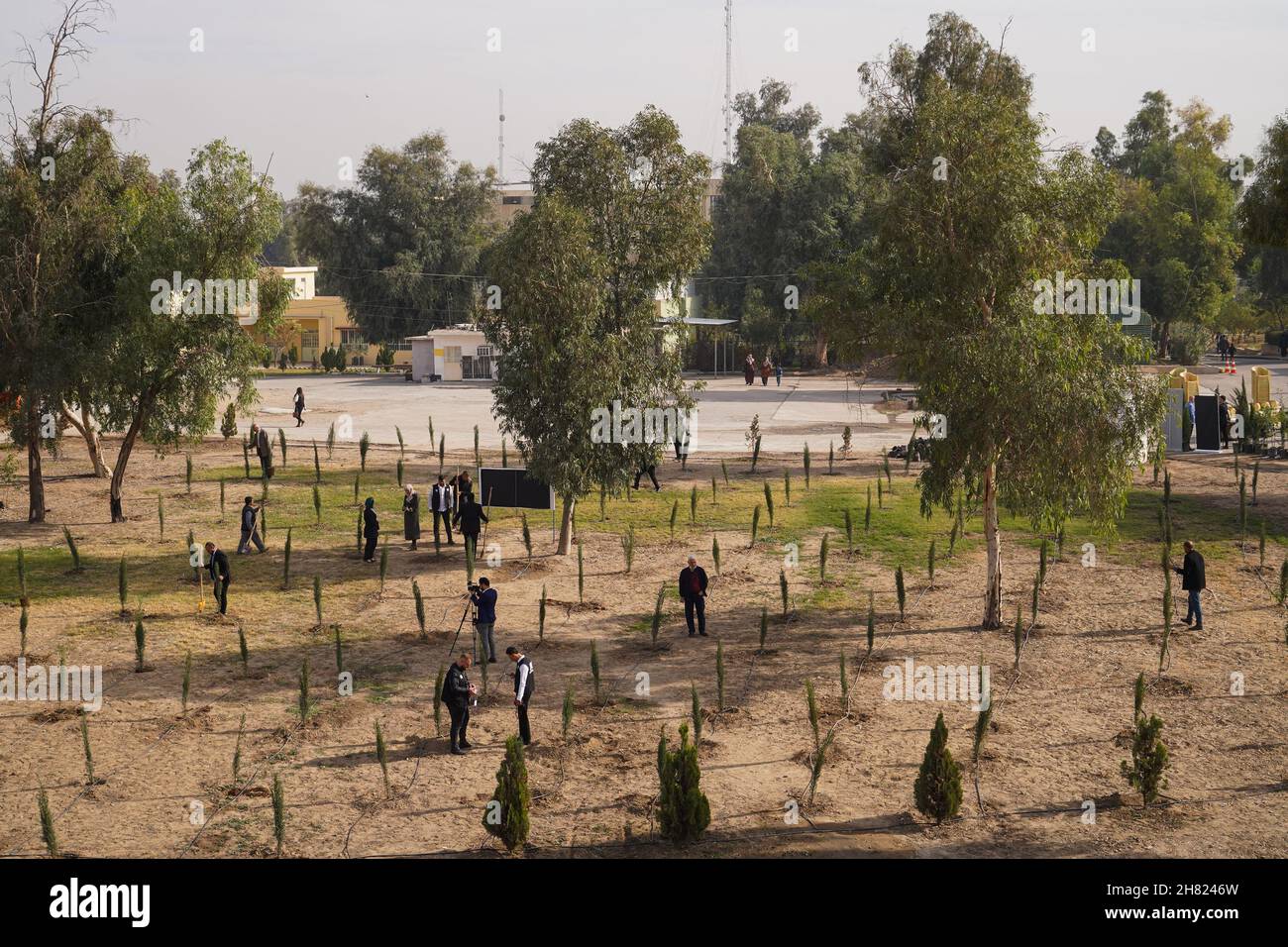 Vue générale des arbres plantés sur le campus de l'Université technique du Nord.des volontaires iraquiens de la Fondation Mosul Eye ont commencé à planter des milliers d'arbres dans la ville ravagée par la guerre de Mosul, dans le but d'écologiser Mosul et de lutter contre la désertification, ils ont planté les 300 premiers arbres d'acacia,le cyprès et le citron dans le sol dans un projet vise à planter 5,000 arbres dans toute la ville de Mossoul, dans le nord du pays, qui souffre encore de la destruction et de la dévastation causées par la guerre contre l'EI.(Photo d'Ismael Adnan/SOPA Images/Sipa USA) Banque D'Images