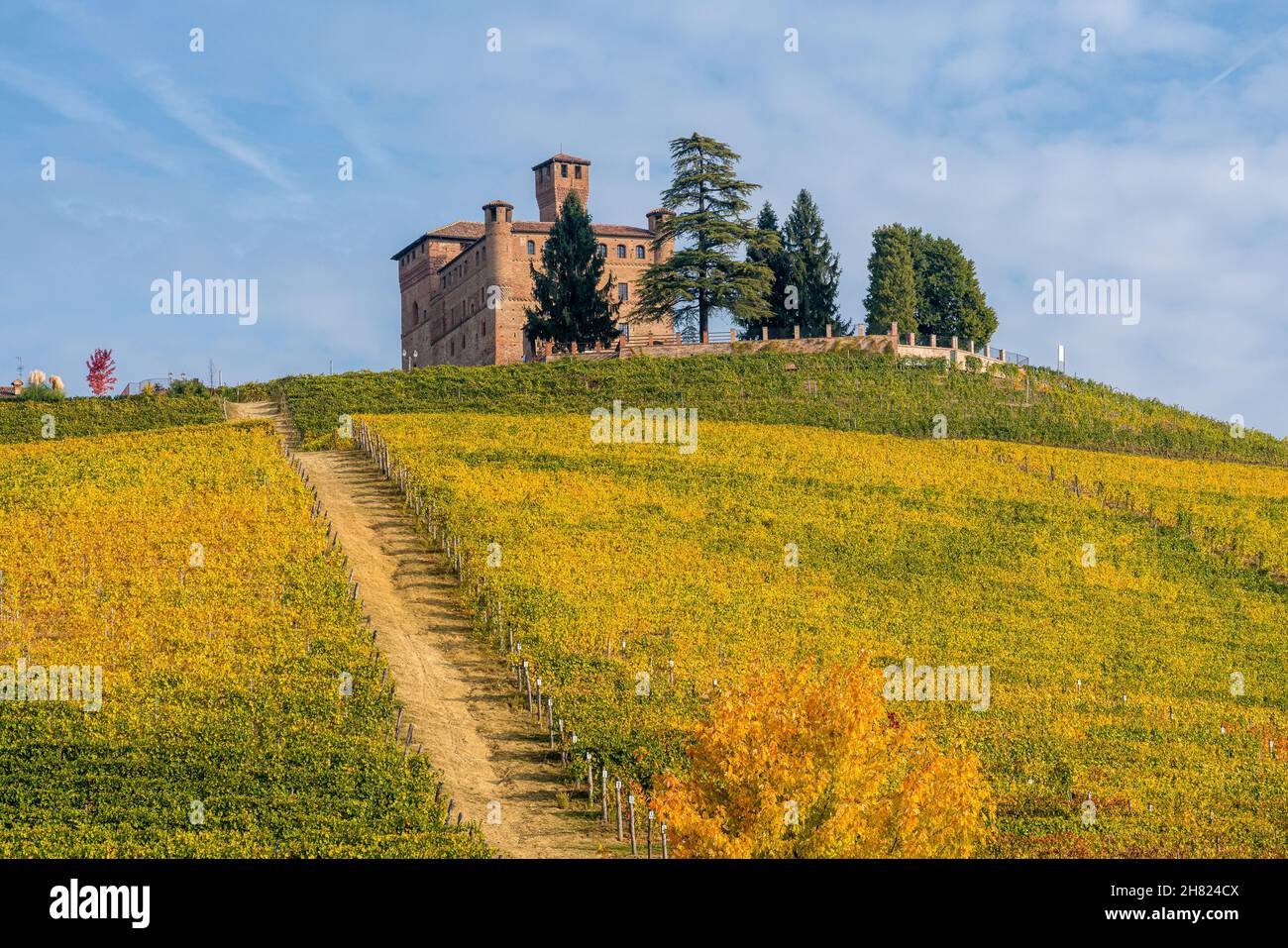 Belles collines et vignobles en automne autour du château de Grinzane Cavour.Dans la région de Langhe, Cuneo, Piémont, Italie. Banque D'Images